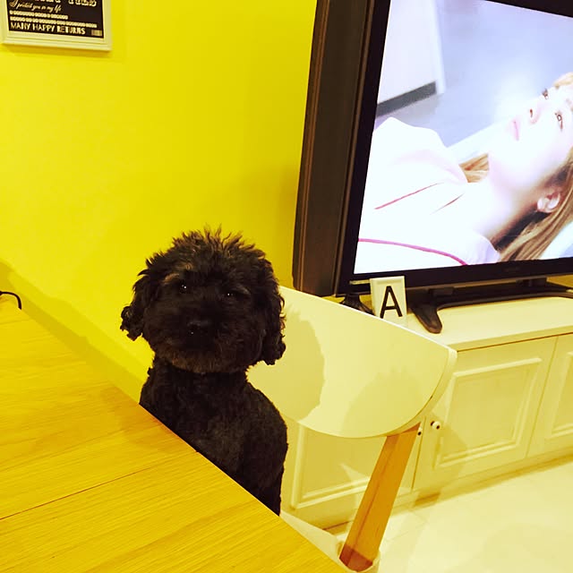chiiさんの実例写真