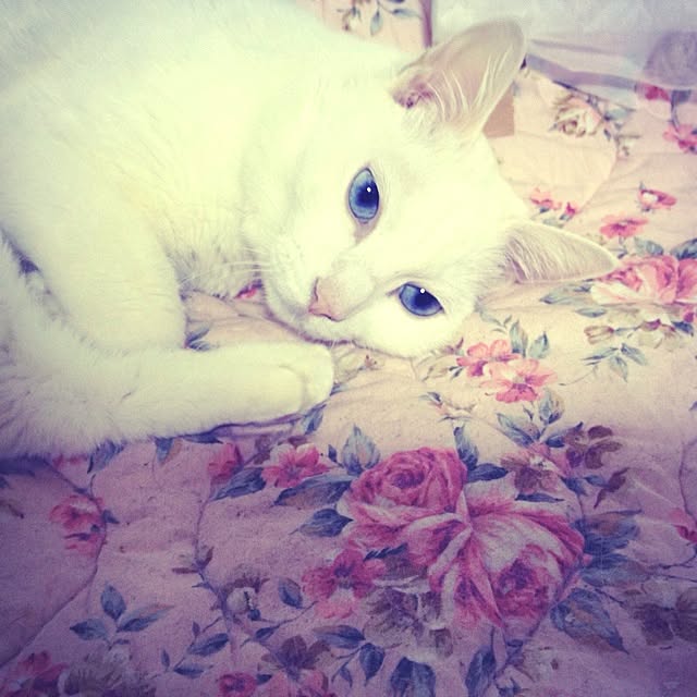 N3さんの実例写真