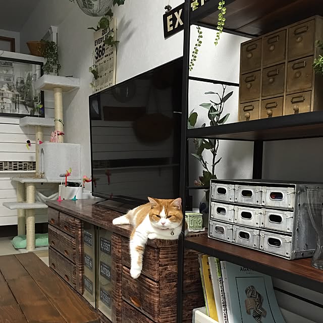 teikon0212さんの実例写真