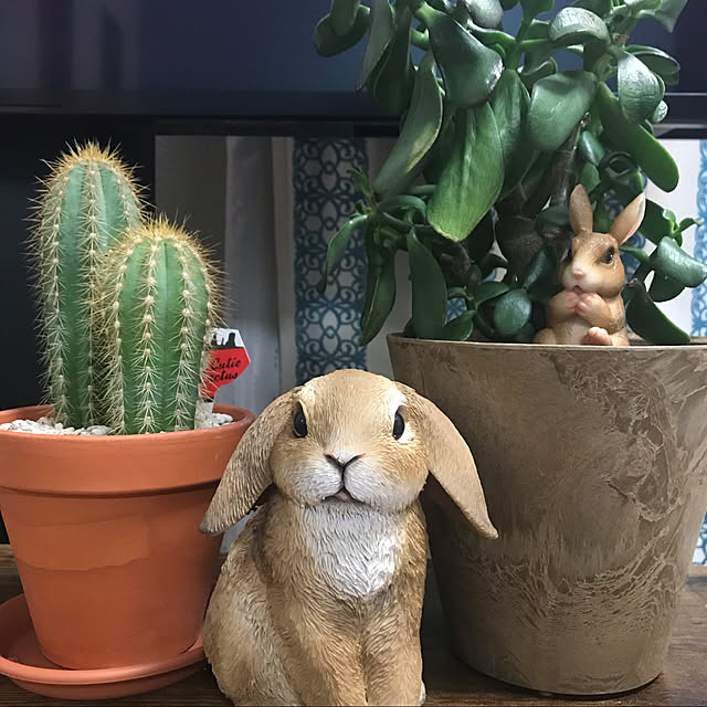 ssmamaさんの実例写真