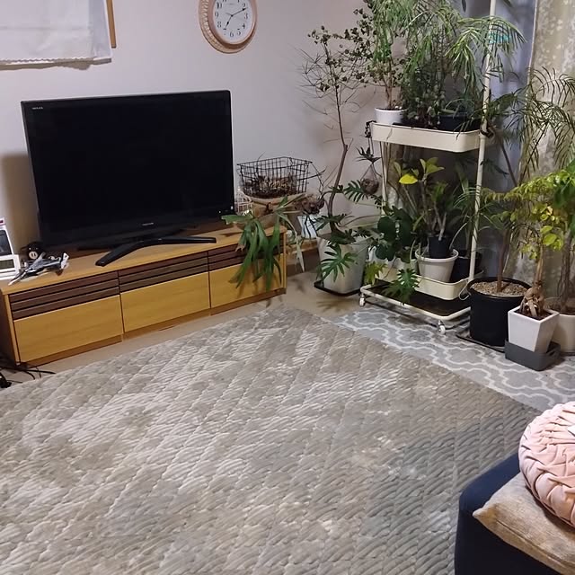 chocococoaさんの実例写真