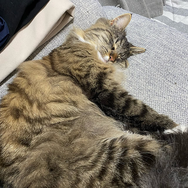 sh.0514さんの実例写真