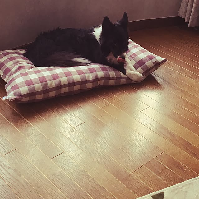 Chikaさんの実例写真