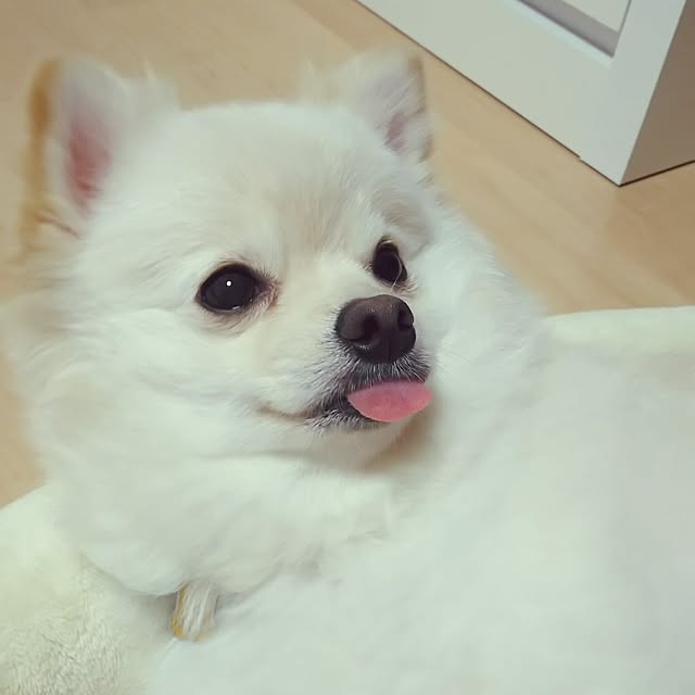 yuki15さんの実例写真