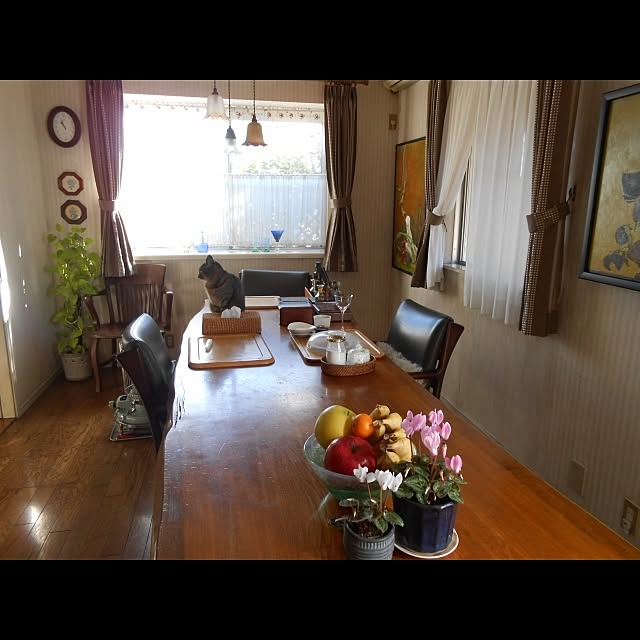 Keikoさんの実例写真
