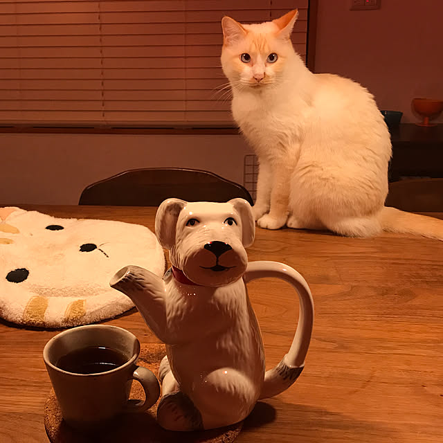 sakurasakuさんの実例写真