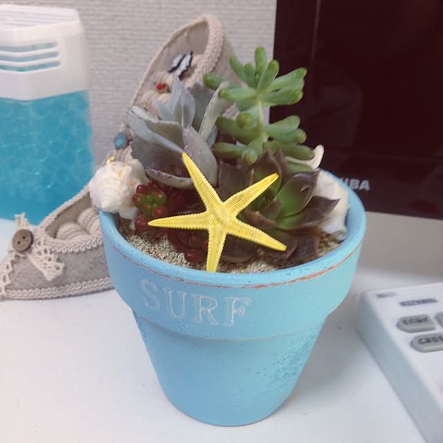 Minoriさんの実例写真