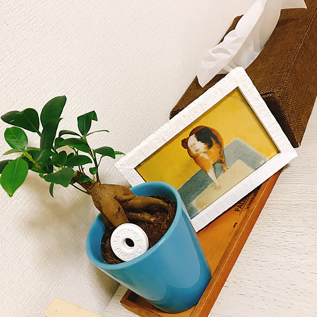 alice_milktea_oさんの実例写真