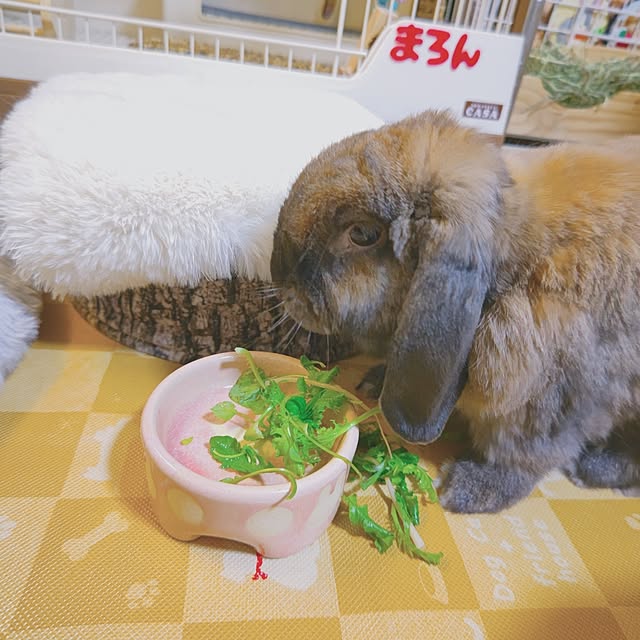 mariaさんの部屋