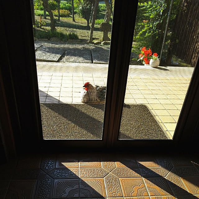 1000spring1015さんの実例写真
