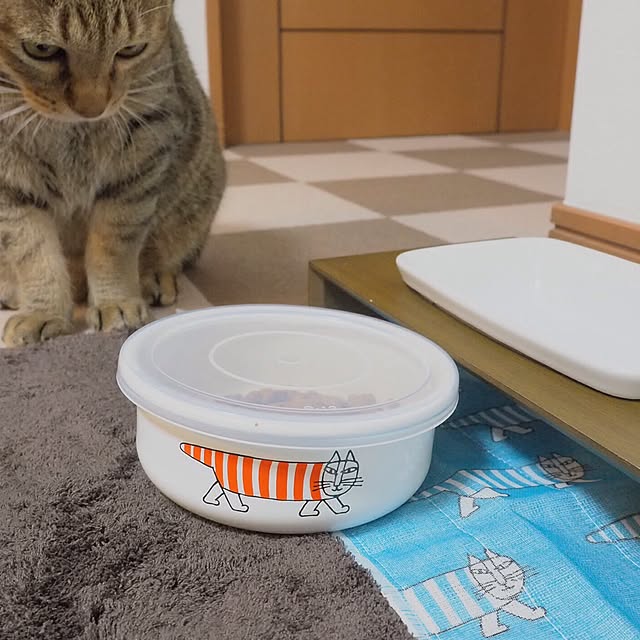 torayuさんの実例写真
