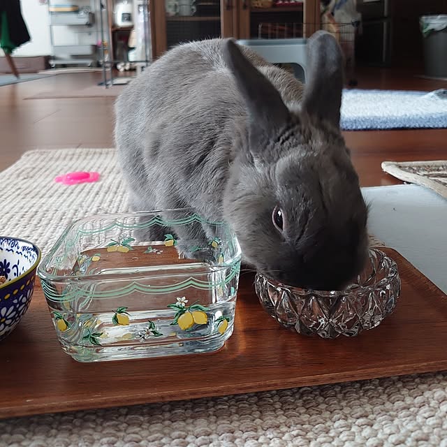 kirariさんの部屋