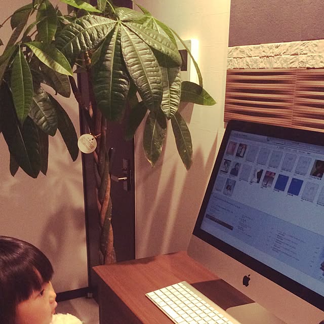 リビング/IKEA/カフェ風のインテリア実例 - 2016-05-12 21:46:55