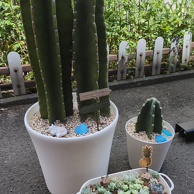 cocomintさんの部屋