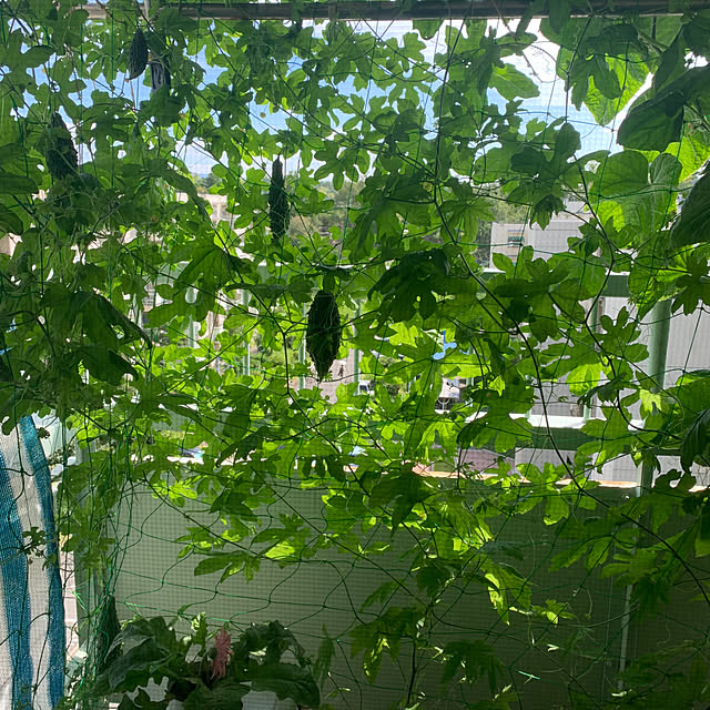 reiさんの部屋