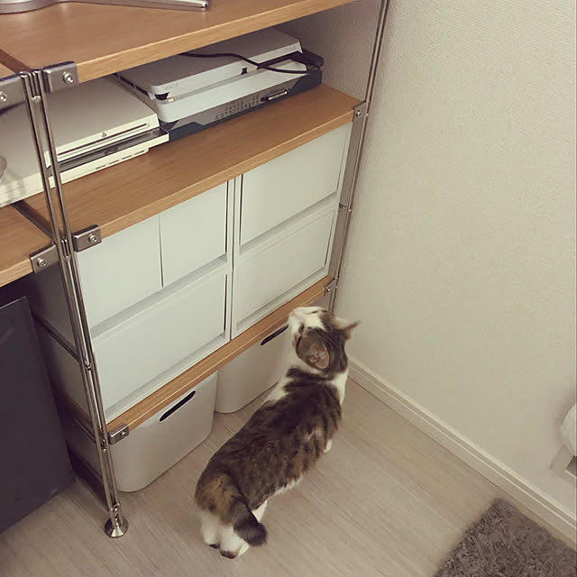 w_fox0713さんの実例写真