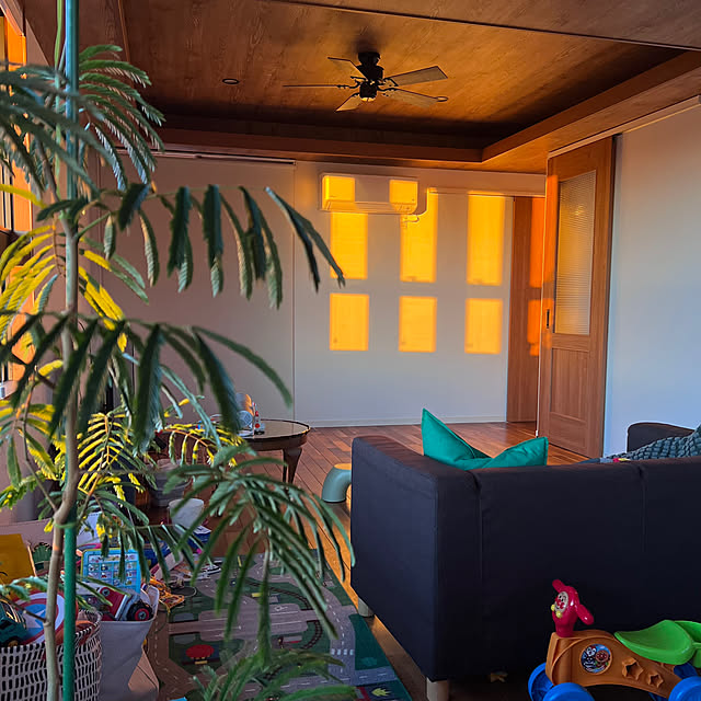 pokowheeさんの部屋