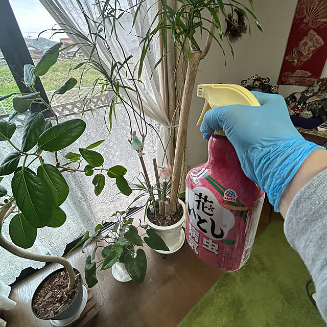 ritsukoさんの実例写真