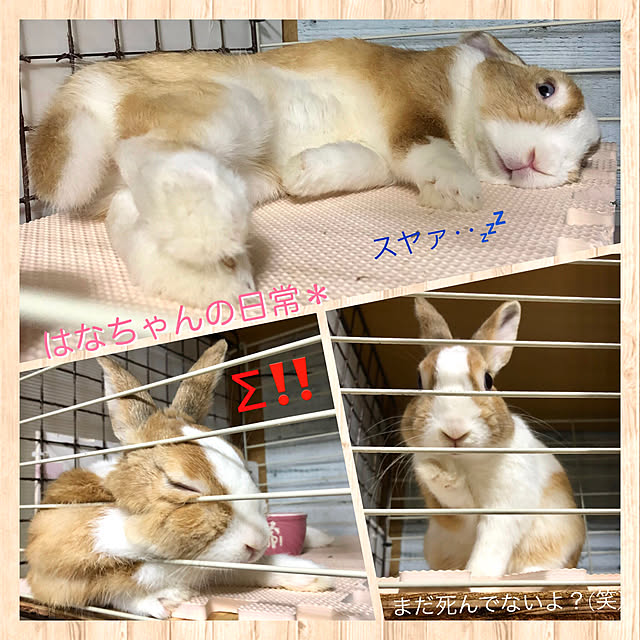 muuさんの実例写真