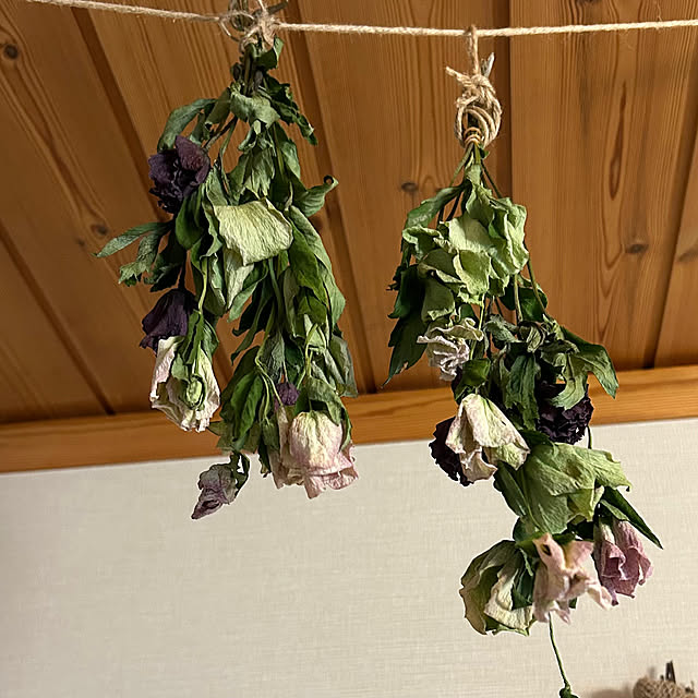 botanさんの部屋