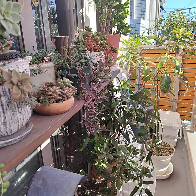 hiro3さんの部屋