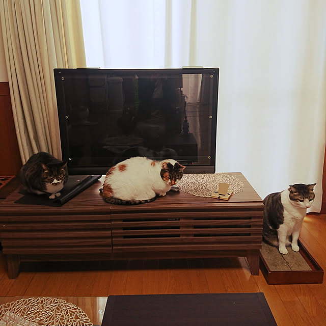 nachiさんの実例写真