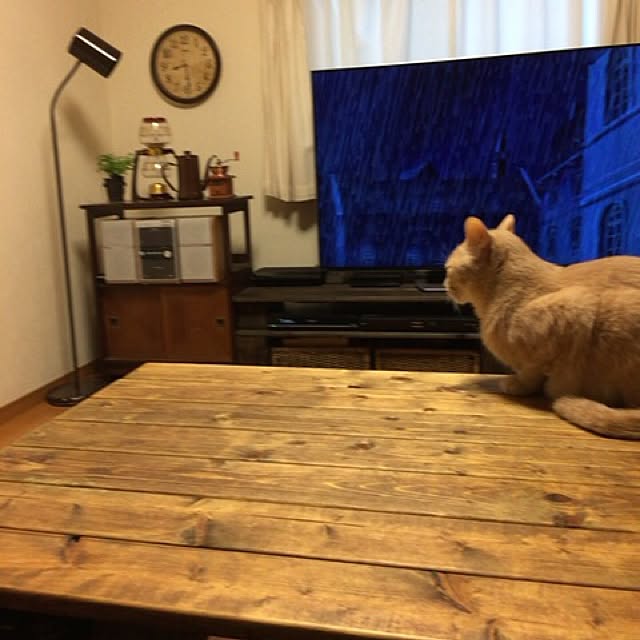 mikan161さんの実例写真