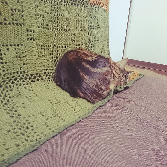 mayu554さんの実例写真