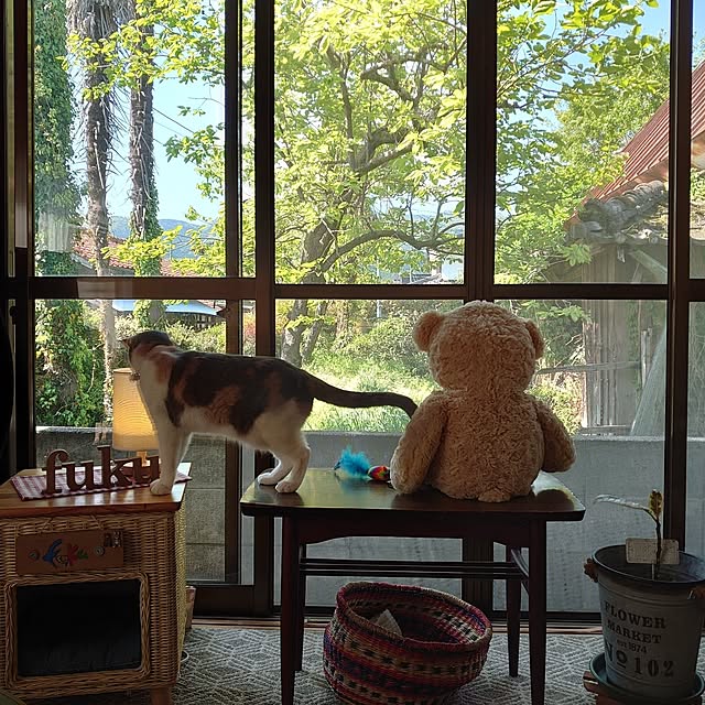 fukuさんの実例写真