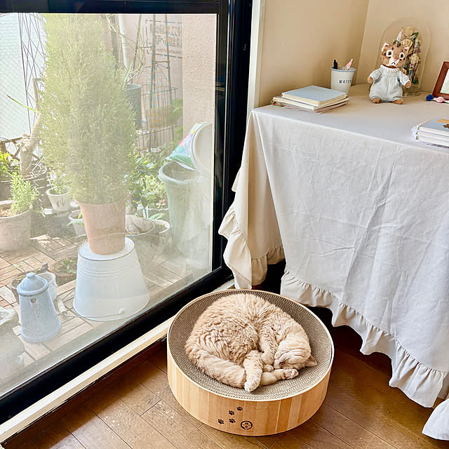naokoさんの部屋