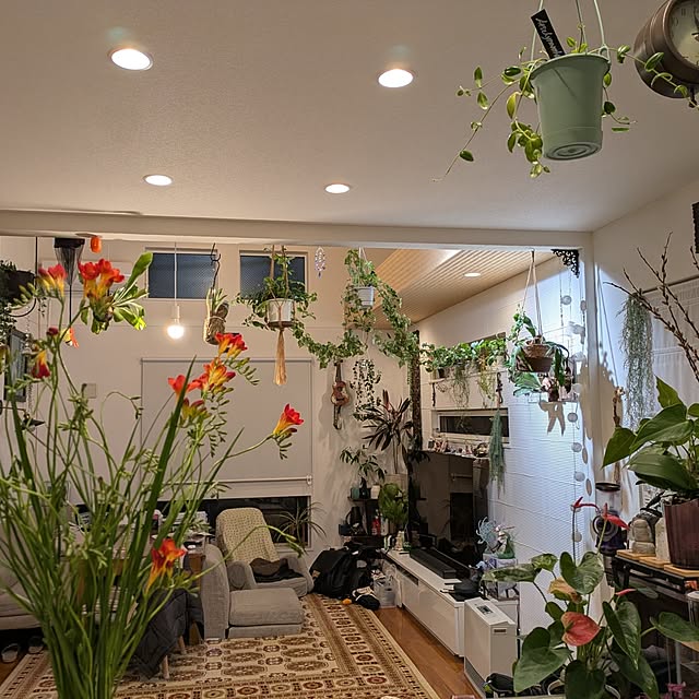 macyuさんの部屋