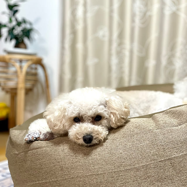 ma...さんの実例写真