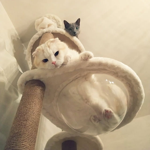 hakuさんの実例写真