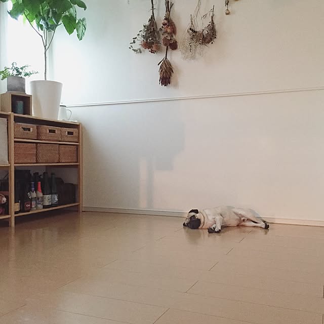 YUIさんの実例写真