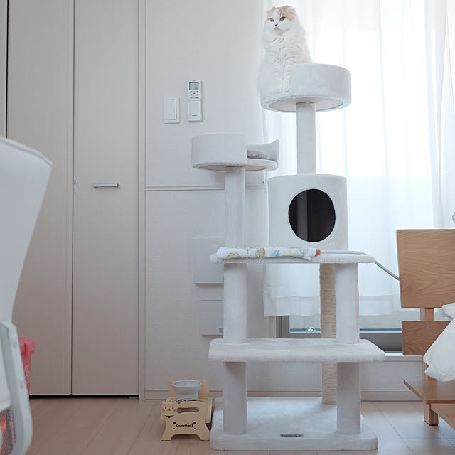 tam412さんの実例写真