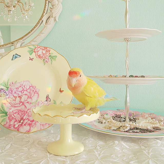 twinkle-butterfly38さんの実例写真
