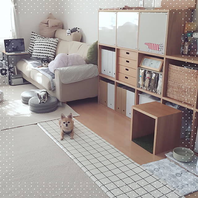 Emiさんの実例写真