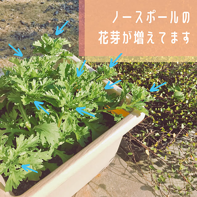 AOIさんの実例写真