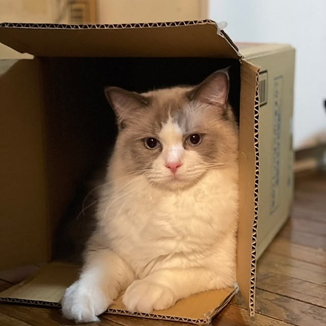 naoさんの部屋