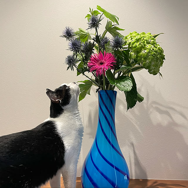 maruさんの実例写真