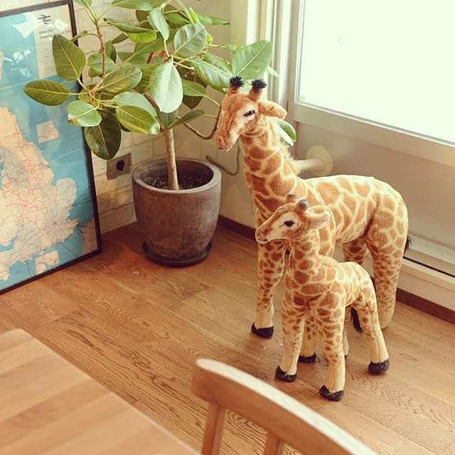 実例写真