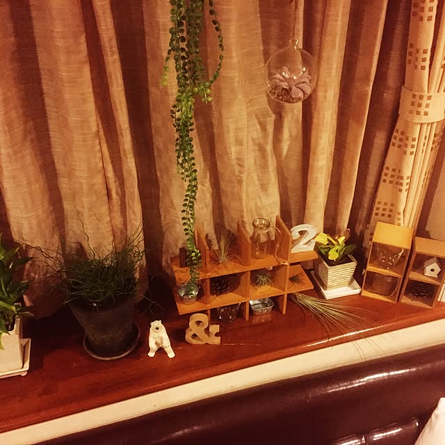 andronさんの実例写真