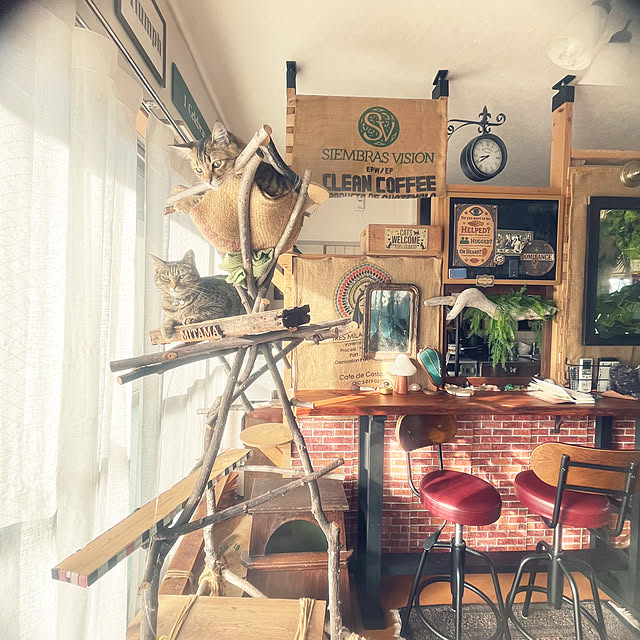 Mさんの実例写真