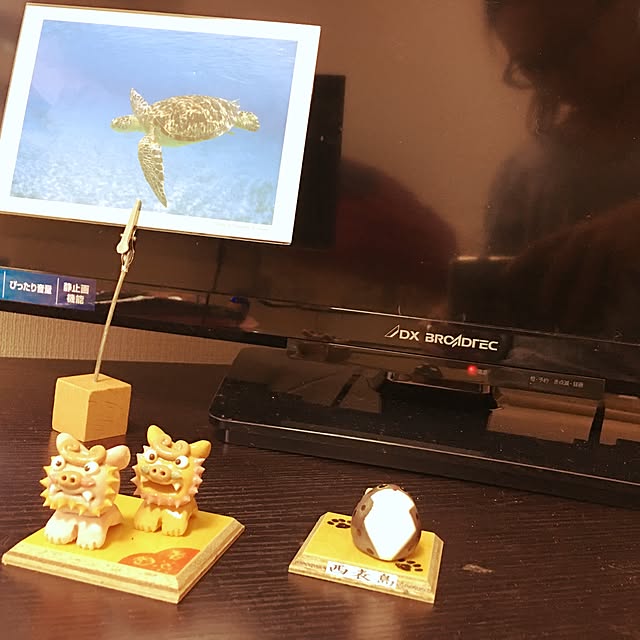 miki_tachibanaさんの実例写真