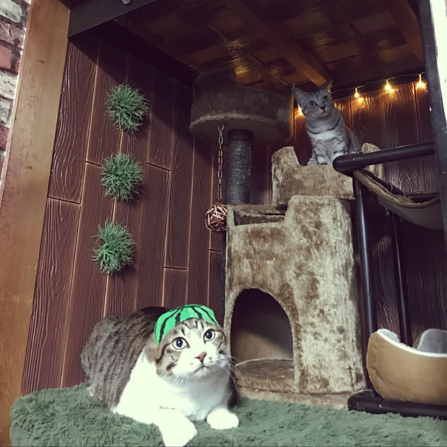 RANIさんの実例写真