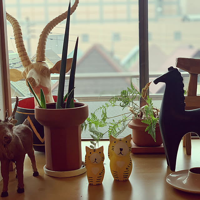 intelligorillaさんの実例写真