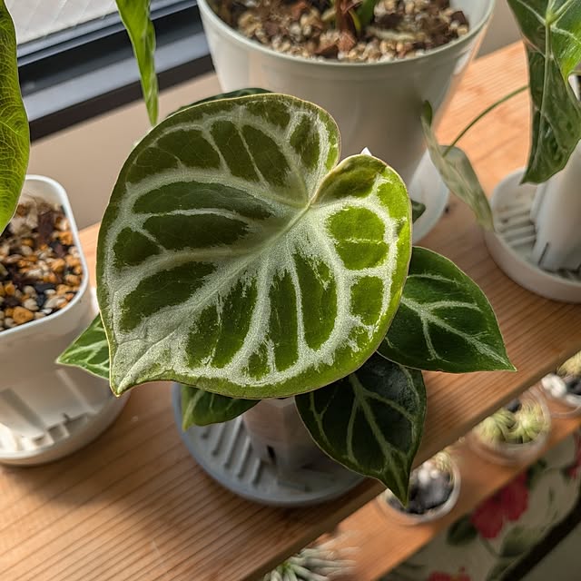 kolo92さんの部屋