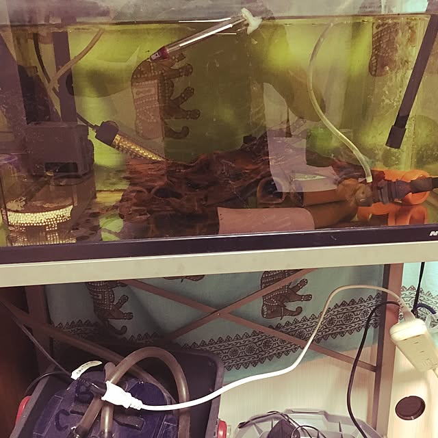 ayaさんの実例写真