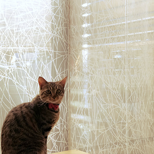 takakoさんの実例写真