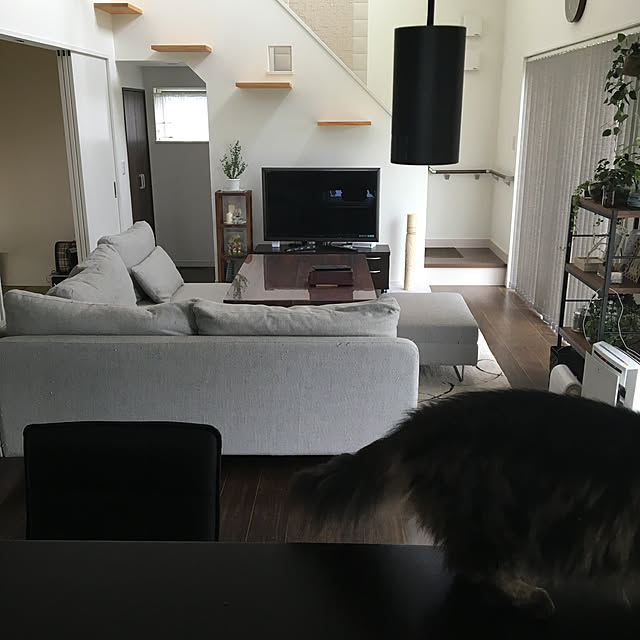 takiさんの実例写真